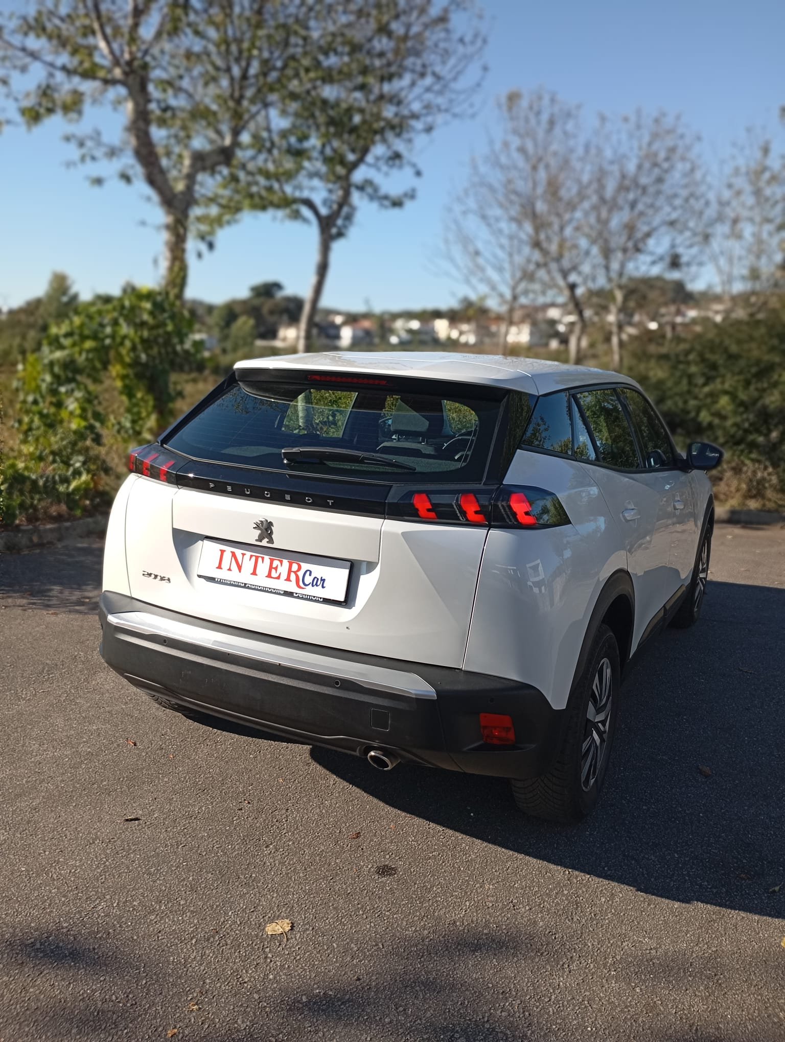 
								Peugeot 2008 1.5 BlueHDi Active Pack full									