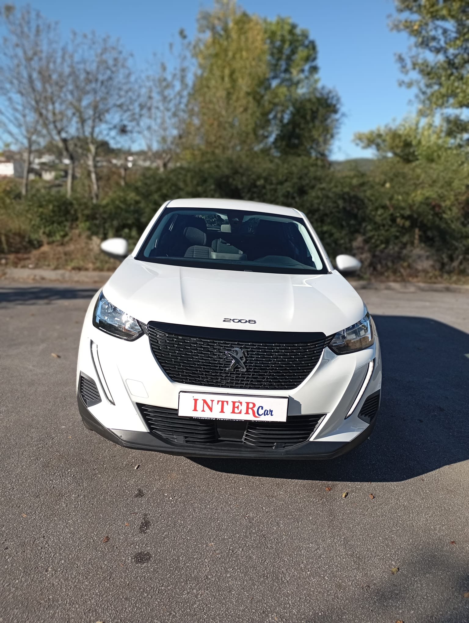 
								Peugeot 2008 1.5 BlueHDi Active Pack full									